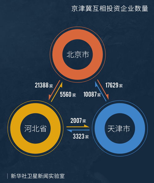十年增長17倍 河北承接北京產業(yè)轉移的“網絡技術服務”新篇章